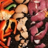 Popular Science: The US stinks at composting. Here’s how we can change that.