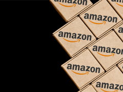 2022 Independent Business Survey: Snapshot of Amazon Marketplace Sellers