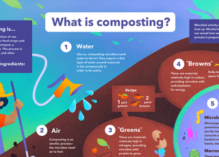 Poster: What is Composting?