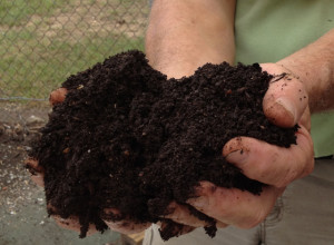 Compost Hands closeup