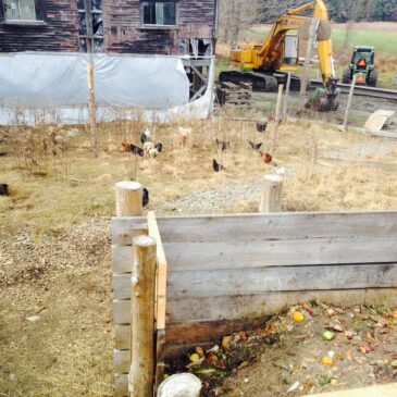Photo of an on-farm static pile composting system with visible food scraps and chickens browsing in the surrounding area